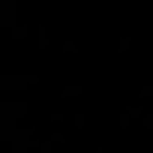 Meet your Posher, Abbey